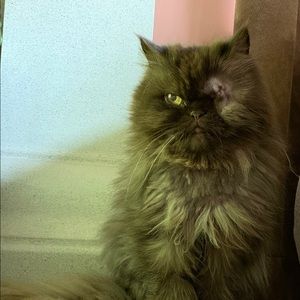 Meet your Posher, Dayton